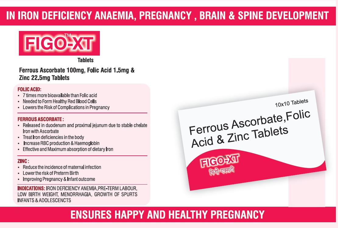 FIGO-XT Anaemia, pregnancy, brain and spine development